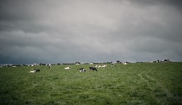Making grazing pay: Practical decisions from Moorhouse Hall Farm